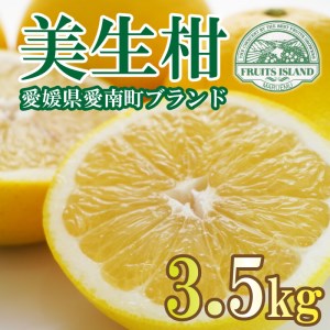 贈答用 美生柑 みしょうかん 約 3.5kg 河内晩柑 かわちばんかん 愛媛 愛南 マルエム直販