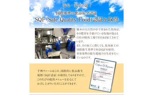 たっぷり！馬スジカレー 10食セット 千興ファーム《60日以内に出荷予定(土日祝除く)》---mifune_snk_19_10set---