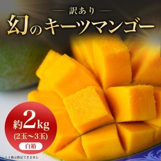 【2025年発送】〈ご家庭用・訳あり〉幻のキーツマンゴー約2kg(白箱)2玉～3玉【配送不可地域：離島】