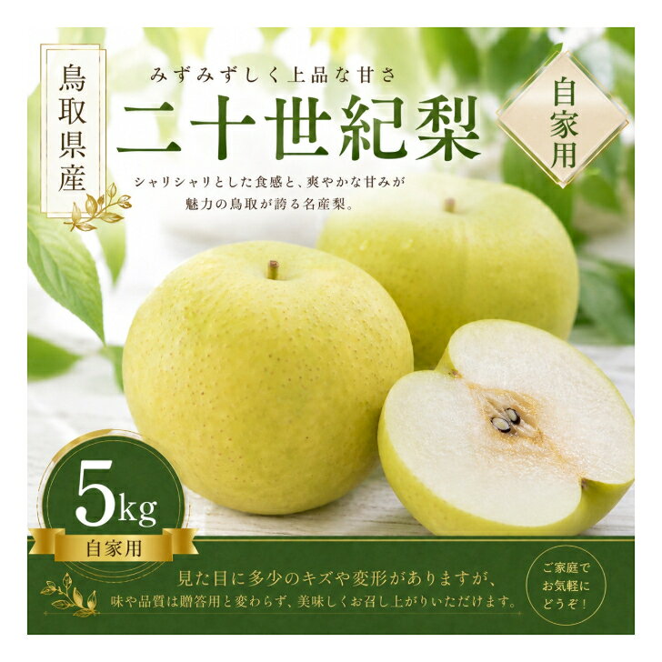 【ふるさと納税】 【予約受付中】 有梨の実石田 二十世紀梨 自家用 5kg 鳥取県 米子市