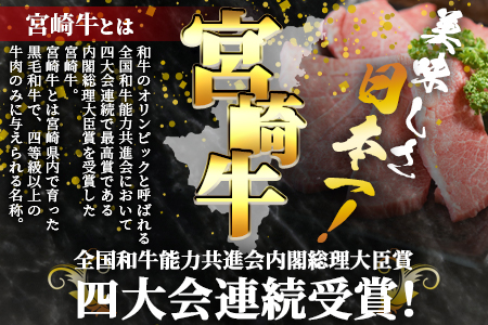 ＜3D冷凍宮崎牛焼肉食べ比べセット＞(合計600g)6肩ロース、バラ、モモ、ウデ、ロース、ヒレ各100gずつ！【MI089-my】【ミヤチク】