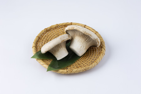 大木町のきのこセット(ぶなしめじ・ゆきれいたけ・王リンギ・えのきたけ各2パック)　AT26