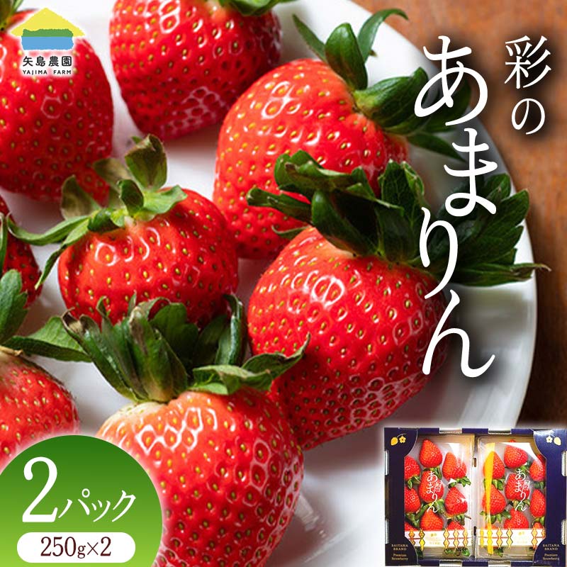 ≪先行予約≫【12月発送】埼玉県本庄市産 いちご 彩のあまりん 250g×2パック 2024年12月下旬から順次発送 苺 いちご イチゴ ストロベリー 新品種 甘い あまい 果物 フルーツ 冬 果実 デザート 食品 埼玉県 F5K-463