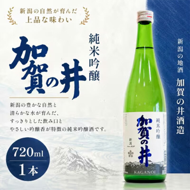 【ふるさと納税】糸魚川地酒 加賀の井 純米吟醸 720ml×1本【日本酒 地酒 新潟 糸魚川 720ml 】