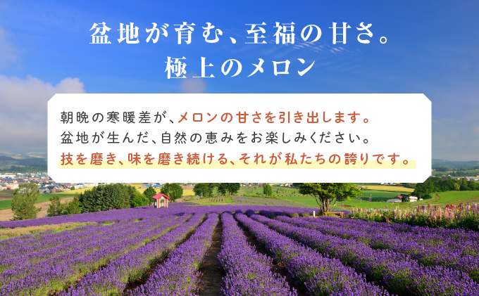 【2024年6月下旬～発送】ふらの 赤肉 メロン 4～6玉入 計約8kg 北海道 富良野市 (相馬農園) メロン フルーツ 果物 新鮮 甘い 贈り物 ギフト 道産 ジューシー おやつ ふらの