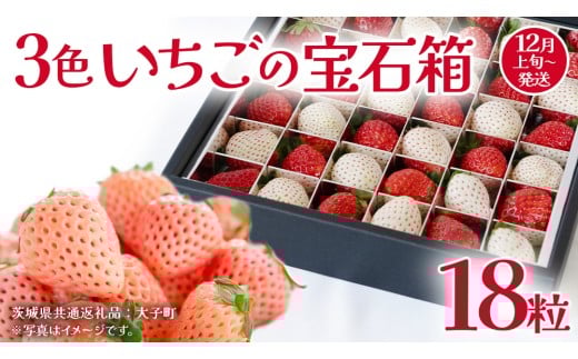 3色いちご の宝石箱18粒【2025年12月上旬発送開始】(茨城県共通返礼品：大子町) いちご 苺 果物 フルーツ 果実