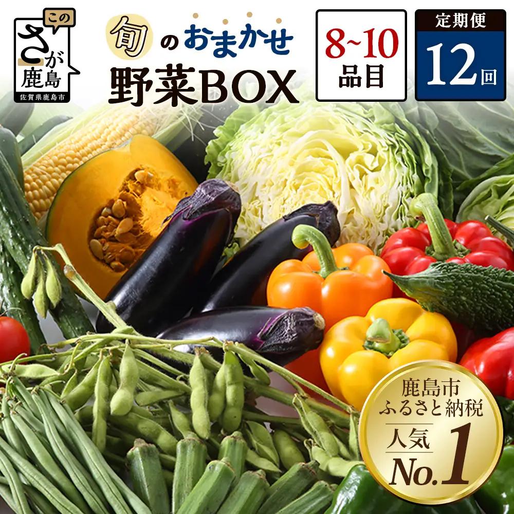 【12ヶ月定期便】旬のおまかせ 野菜 BOX 野菜定期便 旬の野菜 詰め合わせ 野菜 新鮮 野菜 8～10品目 H-13