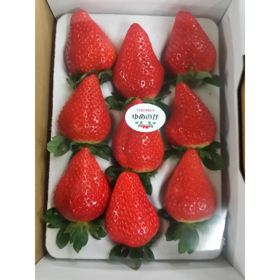 ＜アンシャンテ＞岡山市産「いちご」9粒～15粒