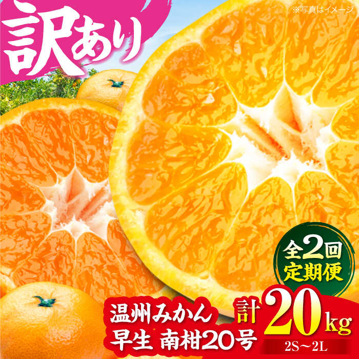 【ふるさと納税】【先行予約】【全2回定期便】【11月中旬と12月中旬の2回発送】【ちょっと訳あり】温州みかん 10kg | 人気 おすすめ ランキング おいしい 甘い 柑橘 大洲市/有限会社カーム/カームシトラス[AGBW008] 30000 30000円 以下