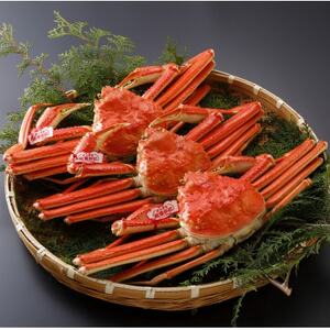 【先行予約】鳥取県産 タグ付き 茹 松葉がに 700g×3杯(中村商店)25年12月・26年1月発送【配送不可地域：離島・北海道・沖縄県・東北・信越、北陸】【1692767】