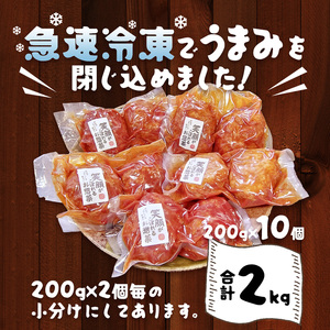 国産煮込みハンバーグ 2kg（200g×10個） / ハンバーグ 牛肉 豚肉 綾部市 / 有限会社　タンバミート［BSDX017］