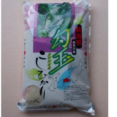 ふるさと納税 糸魚川市 【毎月定期便】新潟県産コシヒカリ『勾玉米』5kg全6回