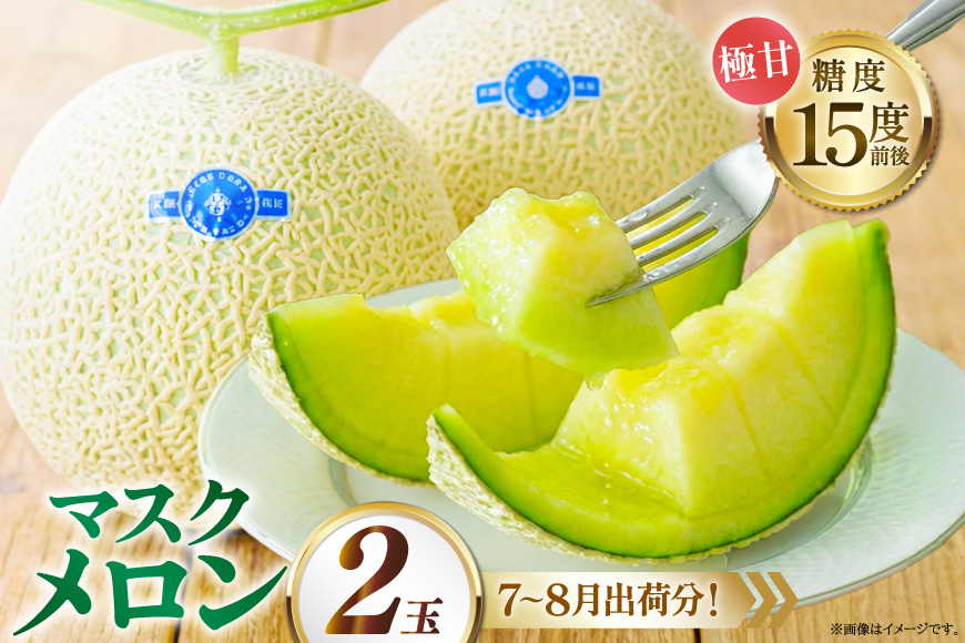 AJ651 【令和8年7-8月出荷分】 堀農園 マスクメロン 2玉 [ メロン めろん 青肉メロン 黄緑 果物 フルーツ おいしい 甘い 堀農園 長崎県 島原市 ]