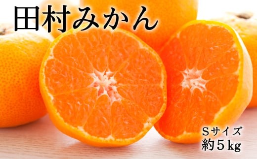 【ブランドみかん】田村みかん約5kg（Sサイズ・秀品）【2026年11月下旬～12月下旬頃に順次発送】【tec883A】