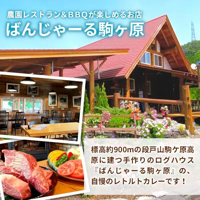 お肉がごろっと入った！たけうち牧場のビーフカレー お試し 1個 国産牛 ご当地カレー カレー 中辛 ブランド牛カレー レトルトカレー スパイス 段戸牛カレー  -217