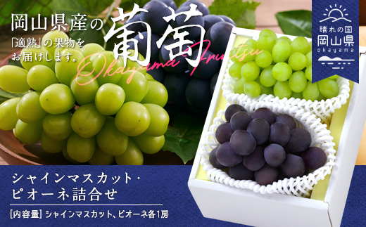 【2026年発送】シャインマスカット・ピオーネ詰合せ(各1房・合計約1.0kg)【配送不可地域：離島】【1493194】