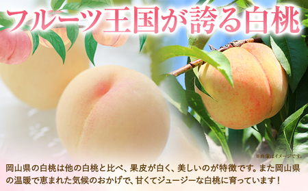 令和7年産先行受付 B-80c  岡山県産　清水白桃　約2kg(８玉)《2025年7月下旬-8月上頃出荷》｜ 桃