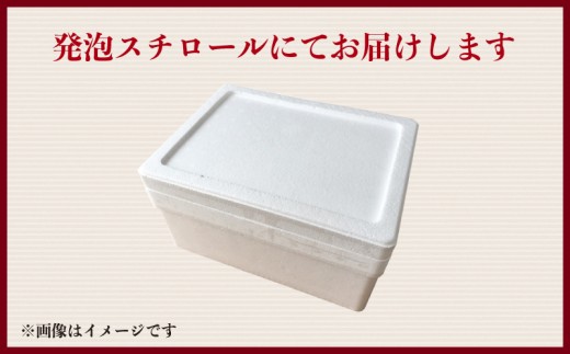 【スピード配送】 さんま 5パック 10尾 真空 パック さんま開き 秋刀魚 高級 おすすめ 個包装 肉厚 ご褒美 贅沢 ギフト プレゼント 贈り物 贈答 家庭用 レシピ 弁当 おかず おつまみ 魚介 水産 魚 旬 和食 ご飯 冷凍  惣菜 小分け 大きめ 希少サイズ 正規品 銚子 海の幸 海鮮 干物 冷食 グルメ お取り寄せ ふるさと納税 ふるさと納税さんま 送料無料 千葉県 銚子市 齊藤商店
