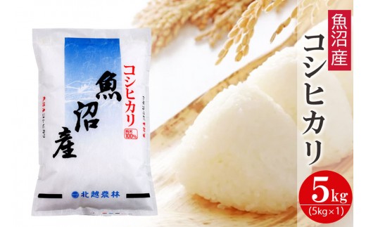 【令和7年産】魚沼産コシヒカリ 5kg 新潟県産 ブランド米 精米 白米