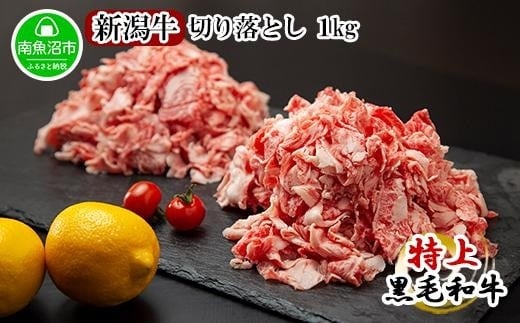 
ES66 新潟牛 南魚沼産 にいがた 黒毛和牛 切り落とし 大容量 1kg
