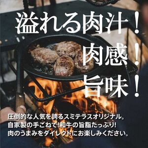 スミテラスの自家製手ごねハンバーグ 10個【配送不可地域：離島】【1435058】