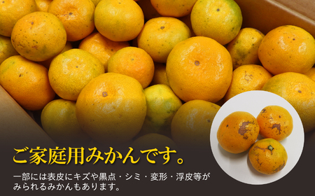 ご家庭用 温州みかん 約5kg 村上農園 | みかん ミカン 蜜柑 温州 家庭用 熊本県 玉名市