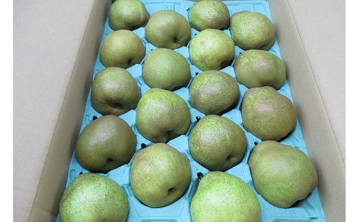 西洋梨（ラ・フランス）５ｋｇ　ご家庭用　0110-2507