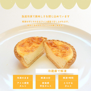 チーズタルト 冷凍  6個入 チーズな時間 タルト