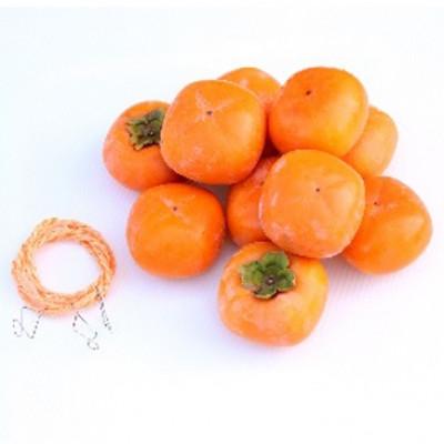 ふるさと納税 橋本市 干し柿作成セット たねなし柿 [L~2Lサイズ20個] 柳フルーツ園