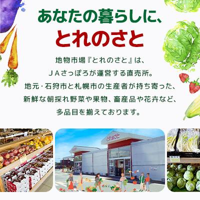 ふるさと納税 石狩市 令和7年産　北海道産　ゆめぴりか精米 5kg×3袋(合計15kg) |  | 02