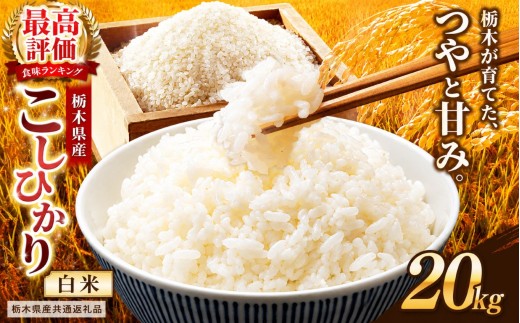 【栃木県共通返礼品】栃木県産コシヒカリ 白米 20kg | コシヒカリ こしひかり コメ お米 米 白米 栃木県産 ご飯 飯 御飯 主食 kome 栃木県 那珂川町 送料無料