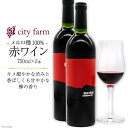 【ふるさと納税】ワイン 赤 メルロ種 750ml×2本 穂坂産 ぶどう 100%使用 お酒 / city farm / 山梨県 韮崎市