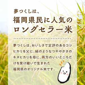 【無洗米】金のめし丸夢つくし 10kg 令和7年産_無洗米 金のめし丸 夢つくし 5kg × 2袋 計 10kg ツヤツヤ もちもち ごはん 食感 ほのかな 甘み ロングセラー オリジナル米 農産物 