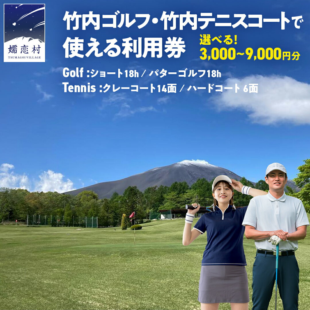 【ふるさと納税】 竹内ゴルフ ・ 竹内テニスコート で使える利用券 3000円分 6000円分 9000円分 北軽井沢 テニス テニスコート ショートゴルフ パターゴルフ ゴルフ ファミリー 観光 スポーツ 嬬恋高原 健康 チケット