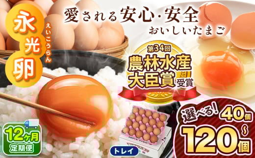 【 定期便 12回 】メディア紹介多数！ 永光卵 120個 卵 たまご 選べる 個数 回数 トレイ タイプ | スピード発送 送料無料 えいこうらん 光永ファーム みつなが 目玉焼き だし巻き玉子 おいしい卵 ゆうパック 君津市 きみつ 千葉県 すぐ届く