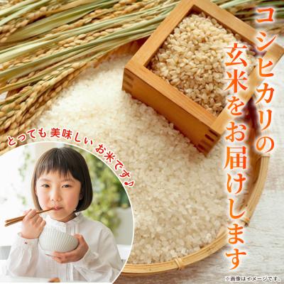 ふるさと納税 西予市 新米<令和7年産 コシヒカリ 玄米 30kg> 国産 R7 米 宇和米 げんまい お米 銘柄米 |  | 03