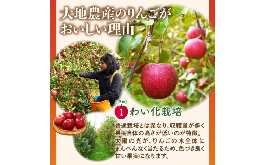 《先行受付》【2027年3月発送予定】 訳あり 家庭用サンふじ約10kg【大江町産・山形りんご・大地農産】