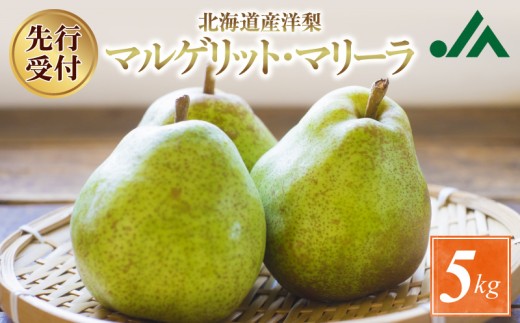 【先行受付：2026年9月中旬以降発送分】洋梨（マルゲリット・マリーラ）5kg