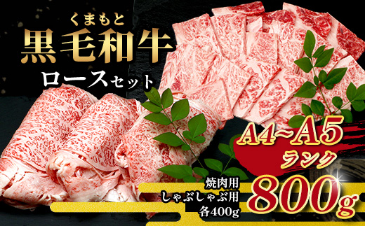 A4・A5 くまもと黒毛和牛 ロース セット 計 800g ( すき焼き / 焼肉 各400g )  本場 熊本県 ブランド 牛 黒毛 和牛 厳選 A4 等級以上 肉 上質 熊本県