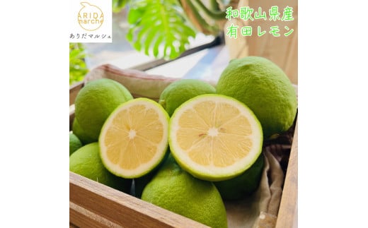 【先行予約】【国産】農家直送！ 有田レモン 1kg◇ ※北海道・沖縄・離島への配送不可 ※2025年9月下旬～2026年3月下旬に順次発送予定