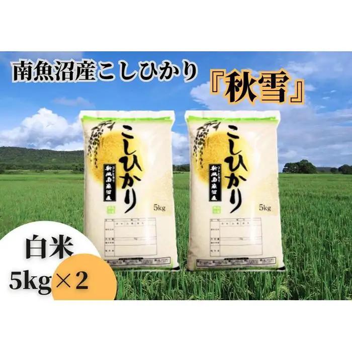 【令和8年 新米予約】南魚沼産こしひかり「秋雪」白米10kg 新潟県の特A地区南魚沼市の美味しいお米【2026年10月上旬より1ヶ月以内に順次発送予定】｜こしひかり