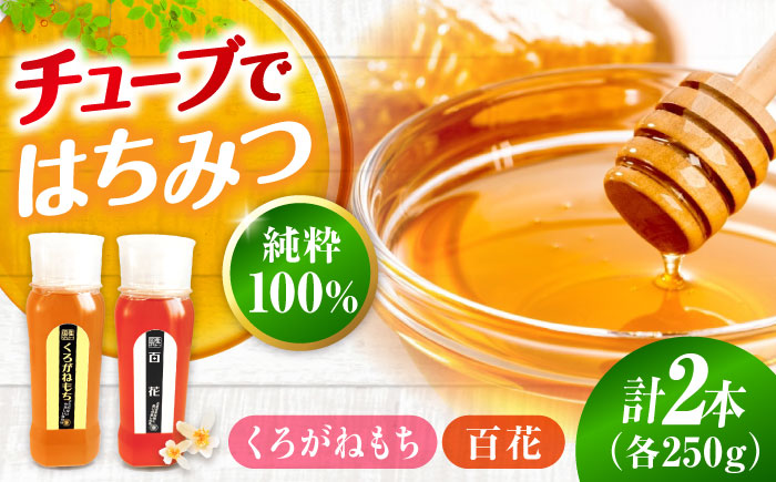 手軽に簡単チューブはちみつ（百花・くろがねもち）250g×2種 計2本セット  ハニー お取り寄せ グルメ 産地直送 ふるさと納税 ギフト プレゼント スーパーフード パンケーキ ヨーグルト 三次市/重森養蜂場 [APBO011]