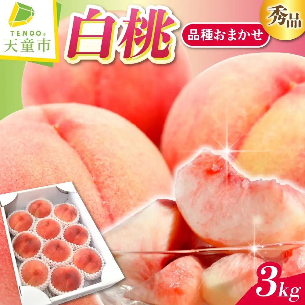 白桃 品種 おまかせ 3kg フルーツ 果物 山形 桃