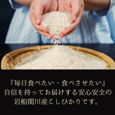 ふるさと納税 関川村 [先行予約] R8年産 岩船産こしひかり 精米6kg ふっくら美味しい [横山農産] |  | 01