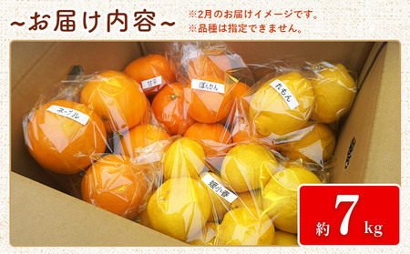 【先行予約】＜笑丸のお楽しみ柑橘福袋（家庭用）約7kg＞ 自宅用 訳あり 果物 くだもの フルーツ ミカン みかん 蜜柑 高級柑橘 詰め合わせ 春柑橘 春みかん 夏柑橘 特産品 笑丸 愛媛県 西予市 