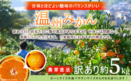 ＜明浜産 温州みかん 約5kg 訳あり＞ 愛媛みかん 農家直送 愛媛県産 家庭用 ご家庭用 ワケアリ 果物 フルーツ 柑橘 うんしゅうみかん ウンシュウミカン オレンジ ミカン 蜜柑 S～L 濱元柑橘