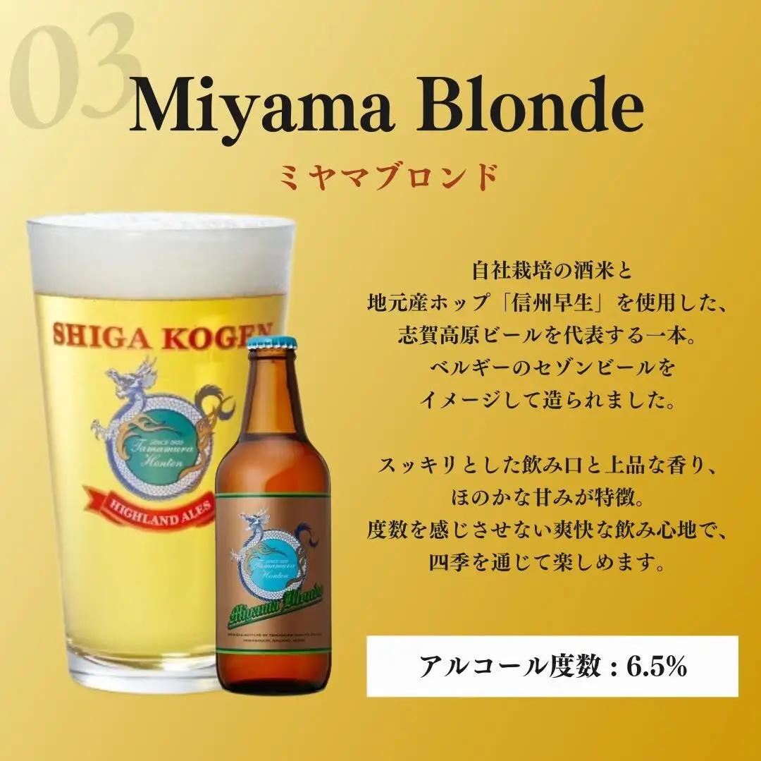 定期便 6ヶ月 クラフトビール 志賀高原ビール 24本 セット 玉村本店 クラフトビール