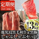 【ふるさと納税】＜定期便・全5回＞鹿児島県産黒毛和牛と黒豚のしゃぶしゃぶセット(各300g×2×5回・計3kg) 黒毛和牛 和牛 牛肉 牛 黒豚 豚肉 豚 肉 鹿児島県産 国産 しゃぶしゃぶ 肩ロース タレ付き たれ付き セット 冷凍 定期便【ナンチク】