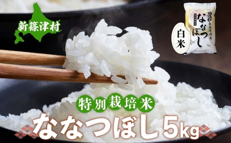 北海道 特別栽培 令和7年産 ななつぼし 5kg 精米 米 白米 お米  ごはん ご飯 ライス 道産米 ブランド米 新しのつ米 ふっくら 食味ランキング  産地直送 お取り寄せ カワサキ森田屋 送料無料  