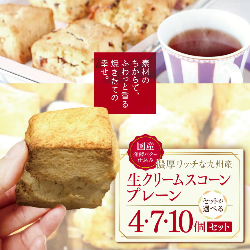 【ふるさと納税】国産発酵バター仕込み濃厚リッチな九州産生クリームスコーン プレーン 選べる 内容量 4個 ～ 10個セット | お菓子 菓子 おかし 洋菓子 焼き菓子 イギリス菓子 プレーンスコーン おやつ デザート スイーツ 手作り ティータイム 大分県 中津市